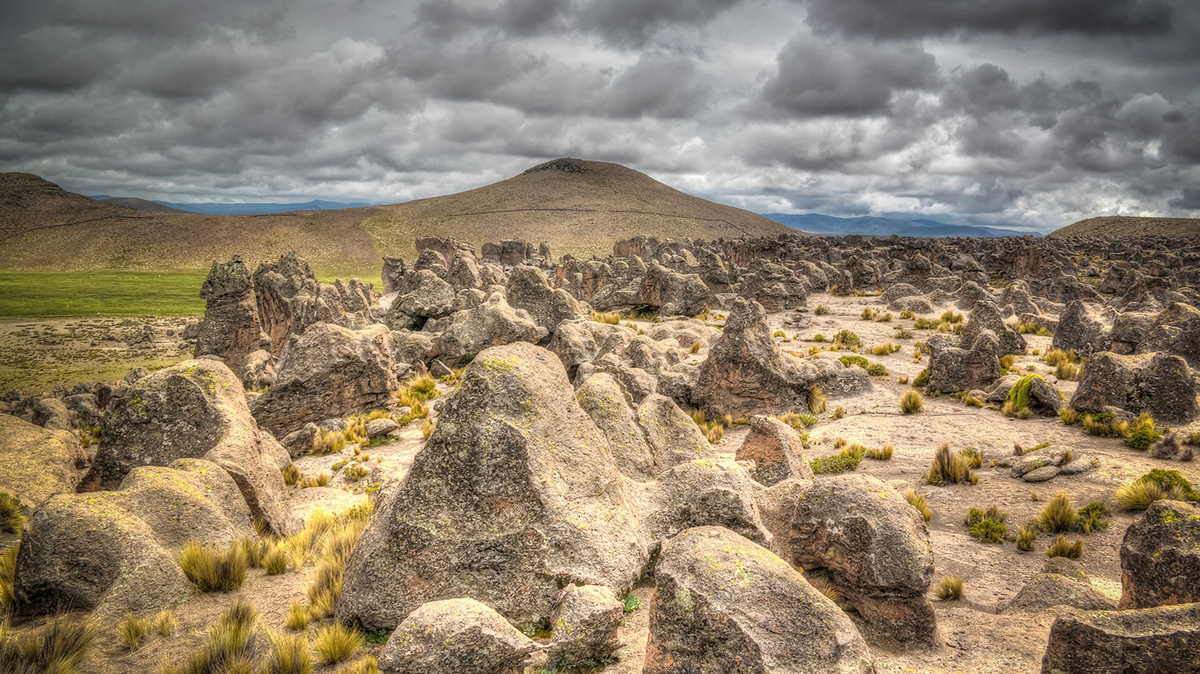 Bosque de piedras